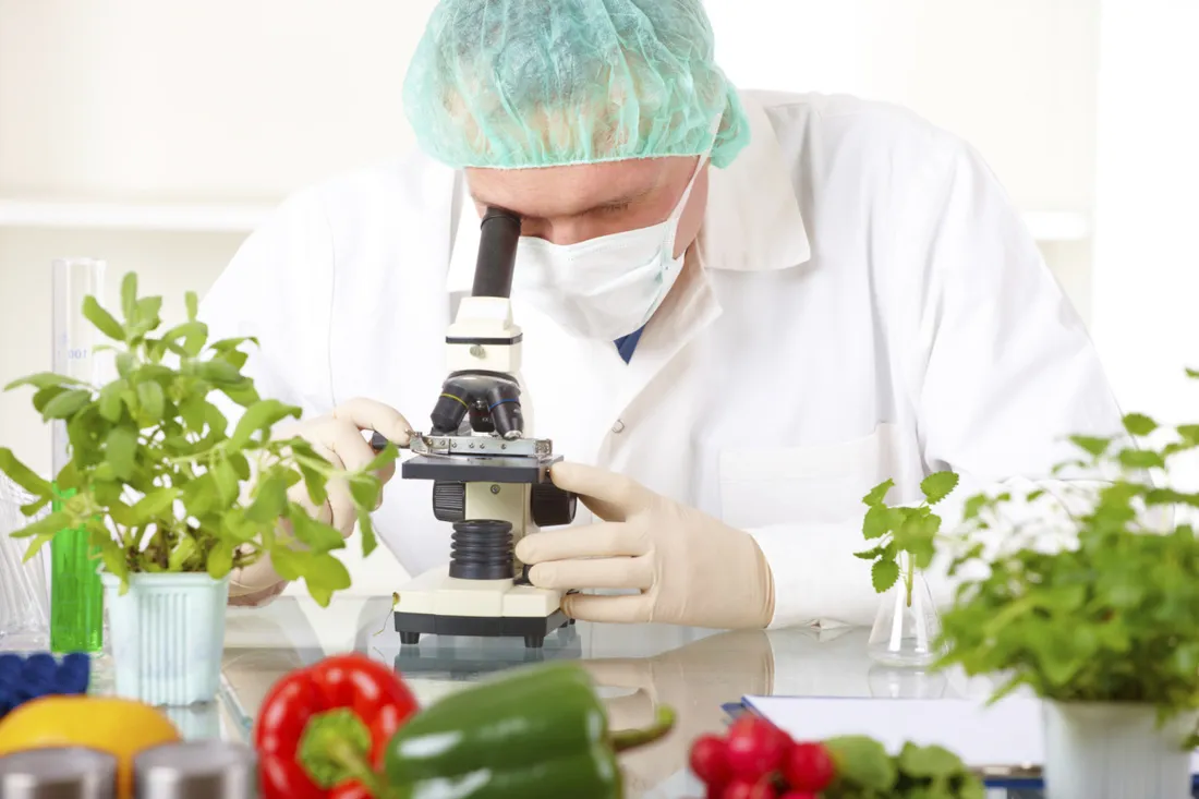Food safety laboratory inspection